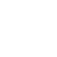 stultus